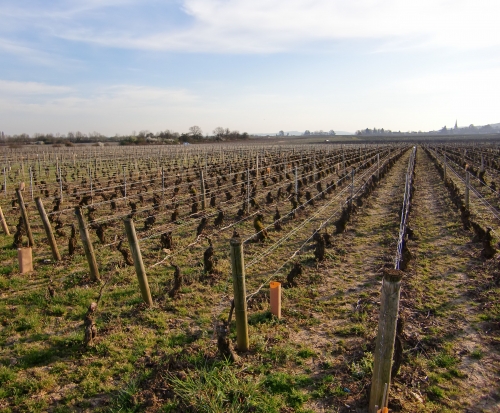 DOMAINE FLORENT GARAUDET