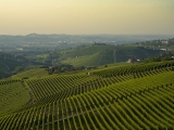 SOTTIMANO