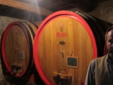 MONTERAPONI
