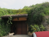 OASI DEGLI ANGELI