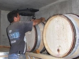 DOMAINE LES BRUYERES, DAVID REYNAUD