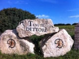 TENUTE DETTORI