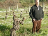 GIUSEPPE GABBAS