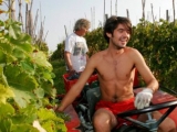 HILBERG PASQUERO