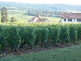 DOMAINE FLORENT GARAUDET