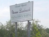 OTTAVIANO LAMBRUSCHI