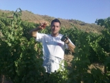 RAMON SAAVEDRA