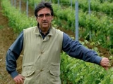 TENUTA SANT’ISIDORO