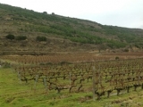SIERRA CANTABRIA