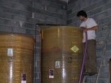 LA SORGA