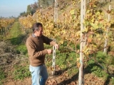 VEZZOLI