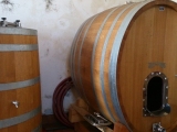 VINO DI ANNA