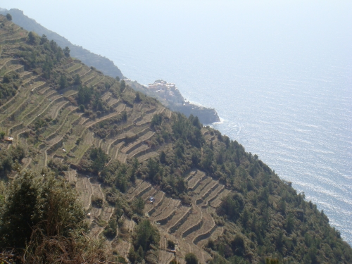 CANTINA CINQUE TERRE