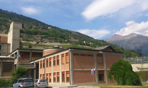 INSTITUT AGRICOLE REGIONAL