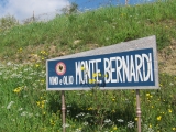 MONTE BERNARDI