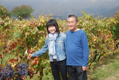 TERRA DELLE GINESTRE