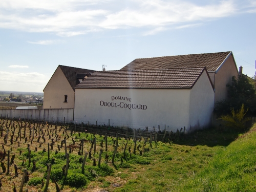 DOMAINE ODOUL-COQUARD