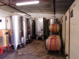 DOMAINE COLLOTTE