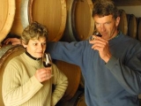 DOMAINE COLLOTTE