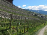 ABBAZIA DI NOVACELLA
