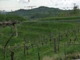 PETRUSSA