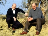 POGGIO BERTAIO