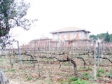 POGGIO BERTAIO