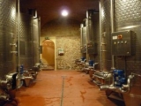 CASTELLO DI BOLGHERI