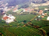 CAVES DO CASALINHO