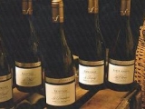 FERRATON PERE ET FILS