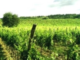 FERRATON PERE ET FILS