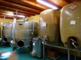 FATTORIA MONDO ANTICO