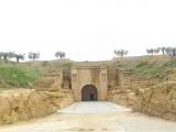 VINEDOS DE PAGANOS
