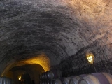 VINEDOS DE PAGANOS