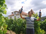 VIDIGAL WINES