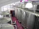 VIDIGAL WINES