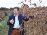 VINICOLA RESTA