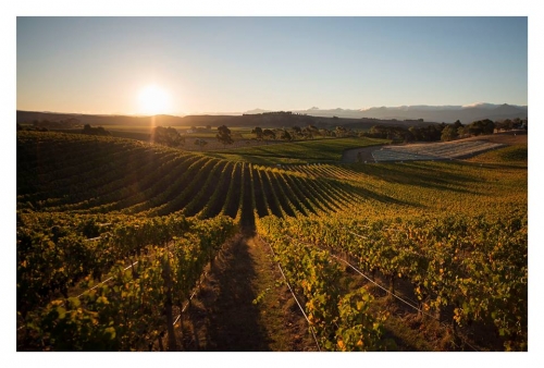 GREYWACKE