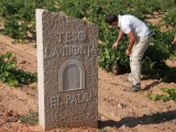 TESO LA MONJA