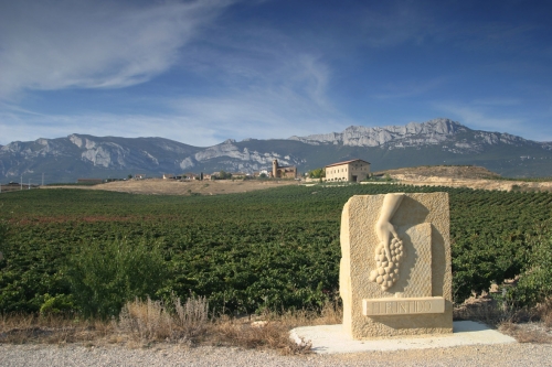 VINEDOS DE PAGANOS