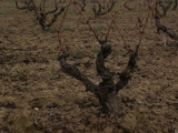 ARTADI