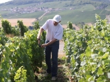 PINOT CHEVAUCHET