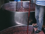 DOMAINE TORTOCHOT