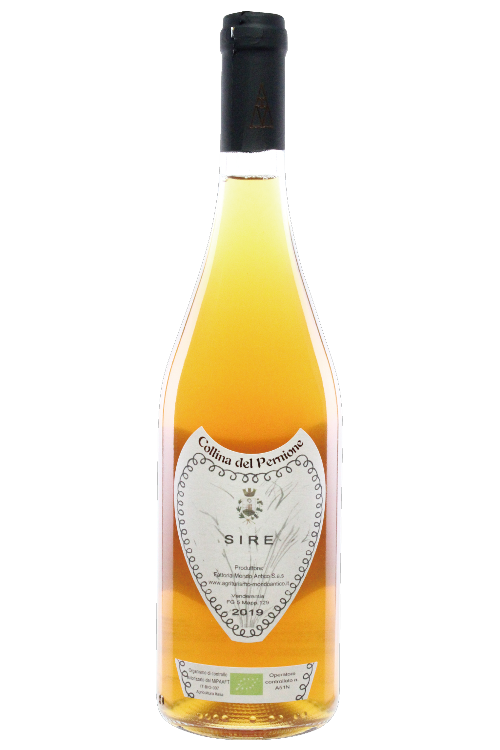 １８５７●美品●ヴァレンティノ＜イタリア製・コットンレース　オーバーサイズ　半袖シャツ・黒＞ＸＬ●abc イタリア、ロンバルディアの生産者FATTORIA MONDO ANTICO(ファットリア