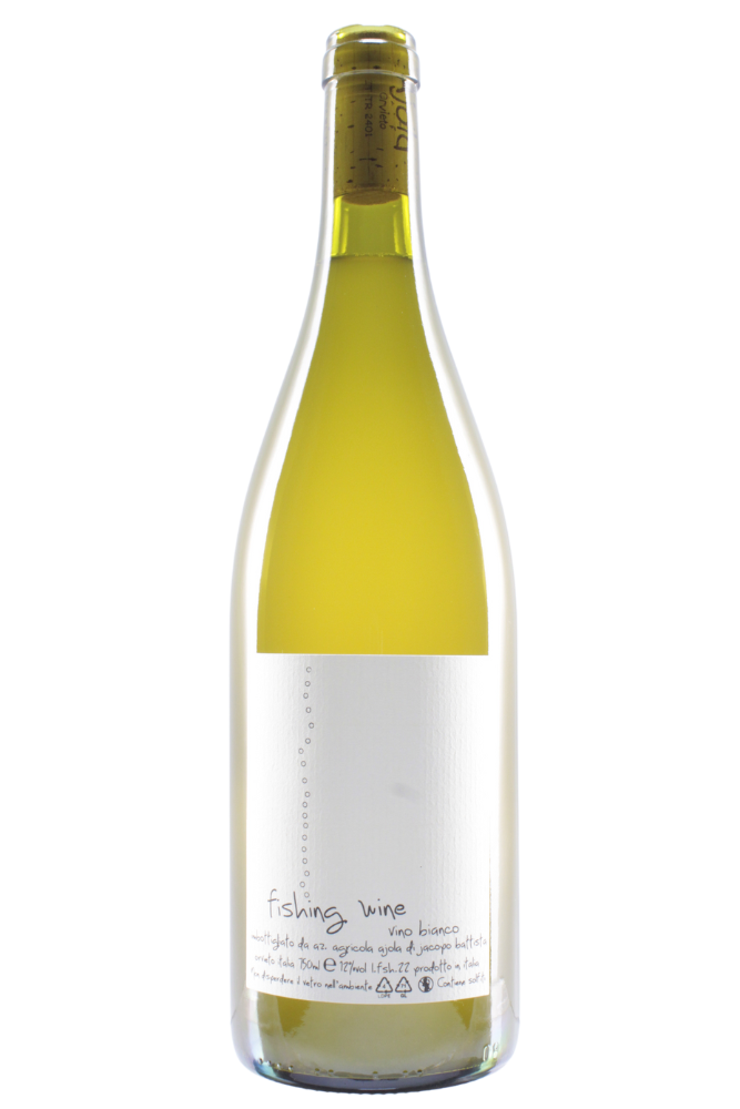 アラビア帝国 アブー・ヤアクーブ・ユースフ2世 AH610-620 もむ MS63 